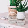 Globe Snow Water Globes Diy Plastic Jar Dome Clear Flower Kit Cover Empty Fillable Display Favor Preserved Kids Your. 