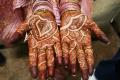 MEHANDI/HENNA LEAVES 100% NATURAL & ORGANIC  113 gm. 