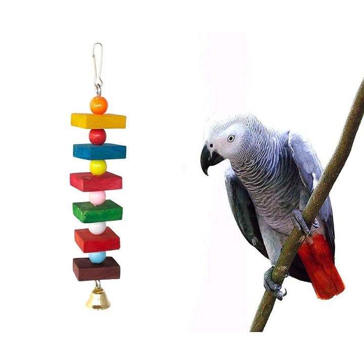 African grey accessories best sale