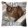 Floppa Cute Meme Cushion Cover 40x40 Home Decor Dakimakura Funny Caracal Cat Throw Pillow Case for Living Room Housse De Coussin. 