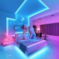 Shizi RGB Led Strip Light Set Remote Controlled Multicolor Strip 3528. 