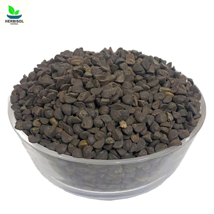 Ishq Pecha 50gm - Cyprus Seed - Kala Dana / Ushq Paicha / Peecha 50 grams by Herbisol