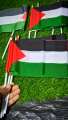 Premium Quality Palestine Flag (3 Pieces) Small Palestine Flag Palestine Gaza Flag Hand Flag Best Quality Flag In Very Low Price Premium Flag. 
