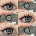 Color Lens Arthur Grey For Girls | Eye Contact Lenses | Party Wear Fashion Lenses | Cosmetic Lens With Container | High Quality Korean Lenses For Girls And Boys (Zubair Optics). 