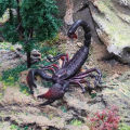 Realistic Wild Animal Snake Figurines Rattlesnake Spider Scorpion Action Figures Model Miniature Educational Prank Toys for Kids. 
