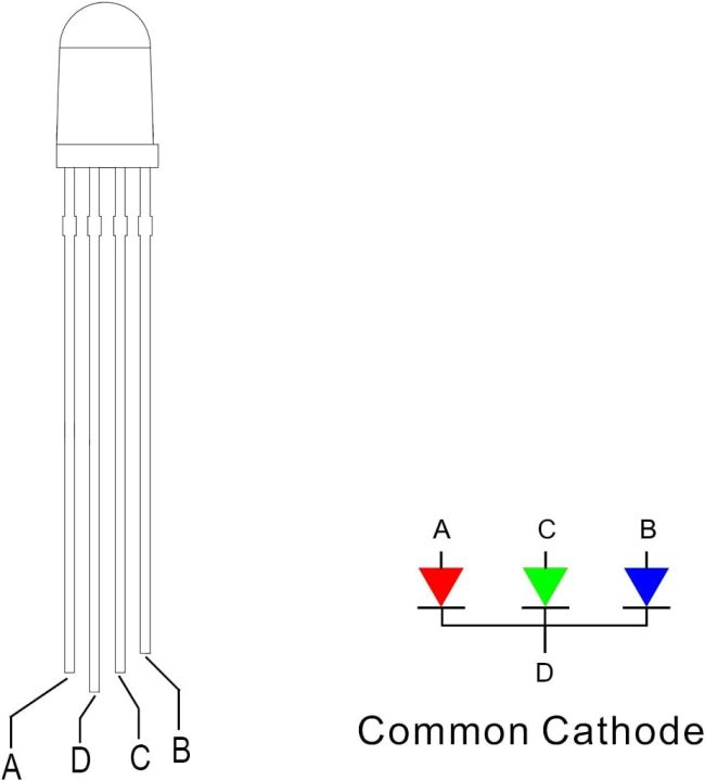 5mm%20RGB%20Tri-Color%20(Red%20Green%20Blue%20Multicolor)%204Pin%20LED%20Diodes%20Common%20Cathode%20Diffused%20Round%20Lens%2029mm%20Long%20Lead,%20Light%20Emitting%20Diodes%20-%20Image%205