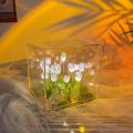 Transparent Packaging Tulip Night Light Compact Size Versatile Decor Handcrafted Handmade LED Light DIY Kit LED-illuminated Flower Knows Box for Living Room  Creative Gift Home Atmosphere Night-. 