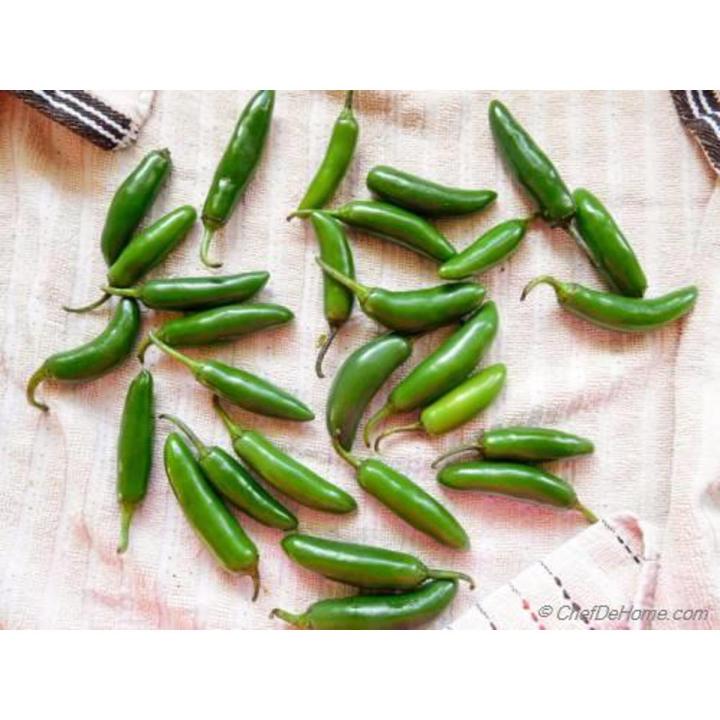Green Chili/Chilli (Sabz Mirch) Kitchen Gardening Vegetable Best Quality Seeds