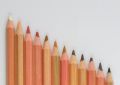 12 Skin Tints Soft Pastel Pencils Non-Toxic Wood Colored Pencils Set For Drawing Painting. 