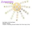 Amamia Life Cycle Puzzle Simulated Life Cycle Jigsaw Puzzles Plant Growth Matching Game. 