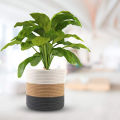 Cotton Rope Plant Basket Modern Woven Storage Basket,7.8inch x 7.8inch Decorative Flower Pots with Handle Home Decor. 