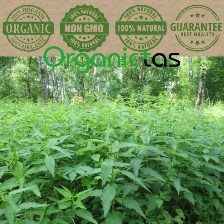 Organic%20NETTLE%20LEAF%20Herbal%20Tea%20Dried%20Cut%20100g%20Premium%20Quality%20-%20Image%204