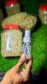 Premium Quality Rosemary Leaves (1kg) "Organic Rosemary Leaves - Fresh Aromatic Herb for Cooking & Health Ideal for Strong Hair Growth | Rosemary Leaf - Natural Solution Of Healthy Lifestyle  Buy In Very Low Price Best Quality Rosemary Leaves. 