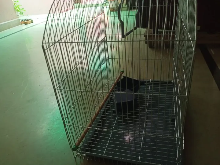 Cage%20for%20ringneck,%20austrailian%20parrots/bajri,%20-%20Image%206