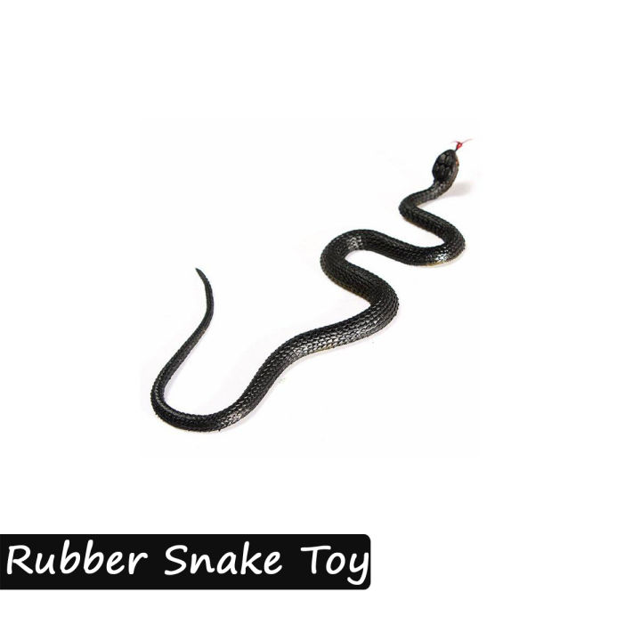 Mini%20Size%20Soft%20Rubber%20Realistic%20Figure%20Rabbit%20Lizard%20Snake%20Frog%20Turtle%20Alligator%20Crocodile%20Fish%20Animal%20Toys%20Set%20For%20Kids%20Boys%20and%20Girls%20-%20Fun%20Prank%20Toy%20Wild%20Animals%20Dinosaur%20Jungle%20Zoo%20Dinosaurs%20-%20Image%205