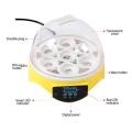 7 Eggs Mini incubator. 