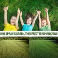 Lawn Spray Paint Eco-Friendly Green Gr Spray Paint Colorant. 