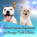 Egg-shell Powder for Dog-s/Cat-s, Calciium Supplement 100 grams. 