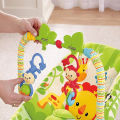 Fisher Price Baby Bouncer Toddler Rocker with Calming Vibration - Green. 