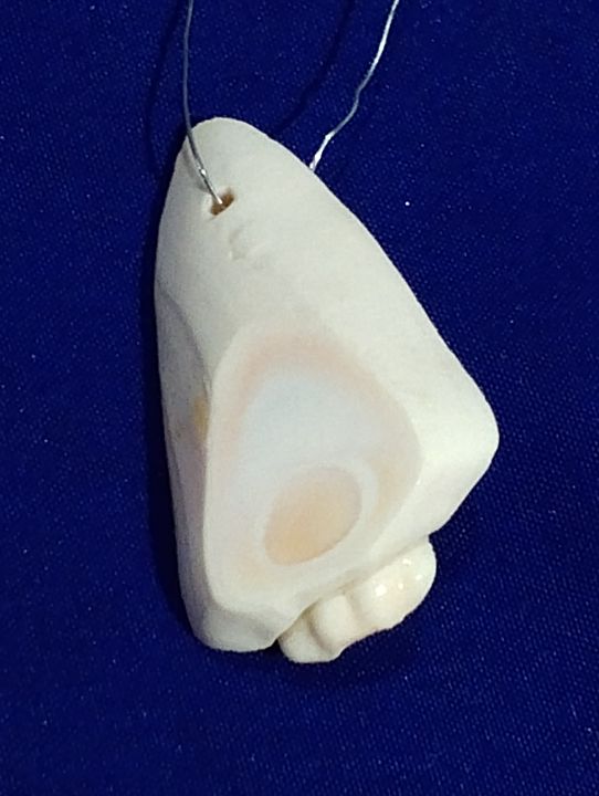 Natural%20Marine%20Pieces%20For%20DIY%20Crafts%20%7C%2015%20Mix%20Size%20pcs%20(2.5cm%20to%205cm)%20%7C%20Real%20Cut%20Marine%20Pieces%20With%20Hole%20%7C%20Use%20As%20Beads,%20Pendent%20Or%20Aquarium%20%7C%20Ideal%20For%20DIY%20Jewelry%20Making,%20Crafting,%20And%20Home%20Decoration%20-%20Image%205