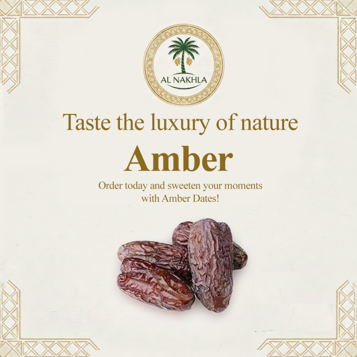 AMBER DATES PREMIUM QUALITY IMPORTED FROM SAUDI ARABIA 1Kg | Daraz.pk