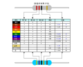 (100pcs) Carbon Film Resistor 1/4Watt 0.25W 10 12 15 18 20 22 24 27 30 33 36 39 43 47 51 56 62 68 75 82 91 R E Ohm. 