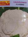 Cauliflower F1 Hybrid Seeds - Phool Gobi Sealed Pack for Kitchen Gardening. 