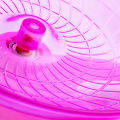 Pet Hamster Flying Saucer Exercise Squirrel Wheel Hamster Mouse Running Disc. 