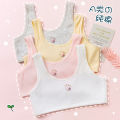 Girls' underwear development period primary school students pure cotton 12-year-old 13-year-old girl underwear bra children vest first stage. 
