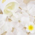 200 Pcs Silk Rose Petals Artificial Rose Flower Petal for Wedding Party Home Hotel Valentine's Day Decoration, White. 