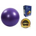 King Lion Gymnastic Ball Fitness Exercise Ball And Yoga Ball (Diameter:75cm). 