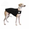 Cute Naughty Whippet Tummy Warmer Dog Vest Motorcycle Car Stickers Waterproof Anime Decals Vinyl Material Decoration13x12.7cm. 