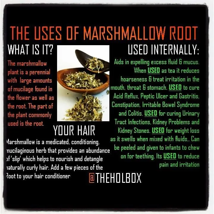 Organic%20Marshmallow%20Root%20Powder%20114%20g%20-%20Image%206