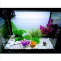 Fish Tank Gravel Rocks Marble Chips Gravel Stones Aquarium Natural Gravel white Colour For Garden Plant Decor, Decorative Rocks Stones 1 KG. 