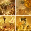 PACKIFY Golden Fairy Lights 5 meter 30 LEDs 220V Plug - String LED Lights for Room Decoration. 