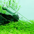 Glass 3-Hole Aquarium Pest Catcher Fish Tank Planaria Leech Worm Trap Cleaner. 