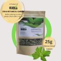 Stevia Leaves 25g (Organic & Freshly Plucked). 