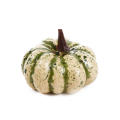 Small Pumpkin Non-Toxic Foam Orange Color Mini Pumpkin Lightweight Foam Pumpkin for Halloween Decor Party Props Photo Props. 