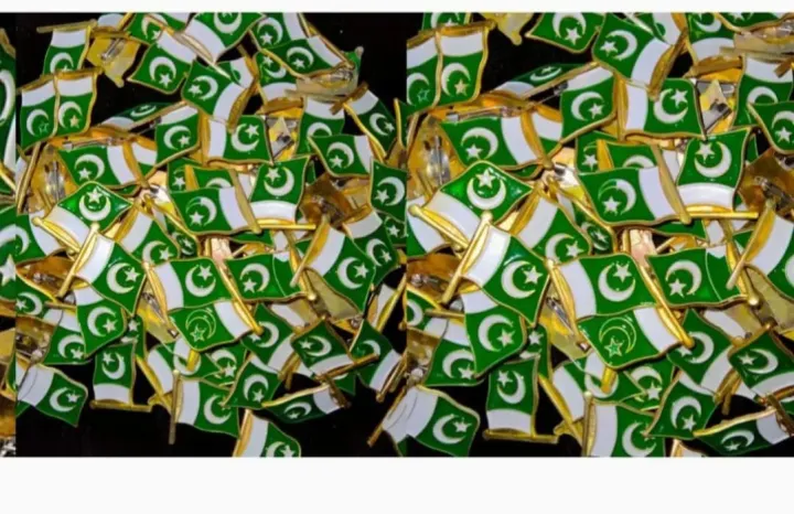 Pakistan%20Flag%20Metal%20Badge%20100%20pieces%20%7C%20Lapel%20Pin%20%7C%20Badge%20For%20Pakistani%20%7C%2014%20August%20Badge%20-%20Image%208