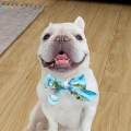 Dog Cooling Collar Cats Cooling Bandanas Cooling Rings for Around Your Neck Neck Body Cooling. 