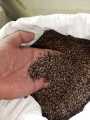 Organic Black Wheat Flour Imported Atta 454 gram. 