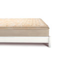 MoltyPlus Foam Mattress. 