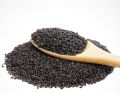 Basil Seeds تخم بالنگو Holy Basil Seed تخم ملنگا Ocimum Basilicum (100-g Packing). 
