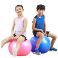 Hop ball for Kids ,Hop Ball with Handle for Exercise Inflatable Jump Ball Kids Inflatable Bounce Jumping Hopper Hop Ball For Children Educational Toys Kids Birthday Gift. 