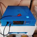 36 Eggs fully automatic incubator Ac/DC  best for Bird parrots. 