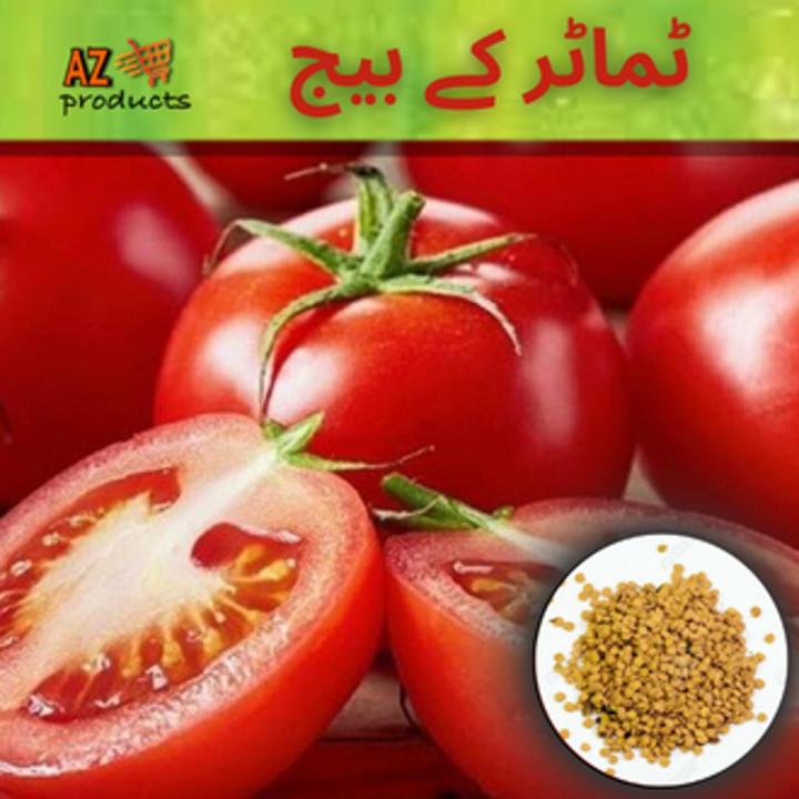 Tomato Seeds (Tmater Ke Beej)(ٹماٹر کے بیج)Hybrid/Germinated/Best Quality/Fast growing/Excellent Germination/High Quality/Healthy Vegetable Seeds/Vegetable/Home/Kitchen/Gardening seeds/beej/Vegetables Seeds Packet