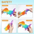 Push Pop Bubble Fidget Toy Pop It Silicone Toy - 5 inches - Rainbow Dinosaur. 