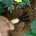 Set of 3 Mini Garden Tool Hand Planting Tools Small Shovel Rake Spade Wood Handle Planting Tools. 