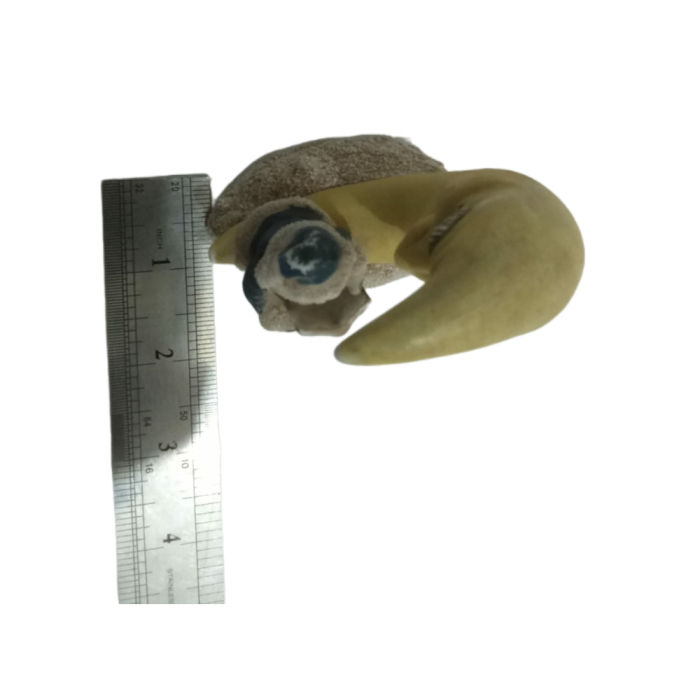 Vintage%20Santa%20Claus%20In%20The%20Moon%20,Ceramic%20Christmas%20Figurine%20-%20Image%206