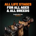 Bully Max High Performance Premium Dry Dog Food for All Ages - High Protein Natural Puppy Food for Small & Large Breed Puppies & Adult Dogs, buy 5kg. 